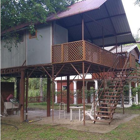 Viziszony Tisza Nyaralo Villa Mindszent Buitenkant foto